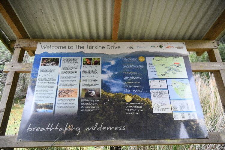 TAS_7953_Small TAS_7953_Small