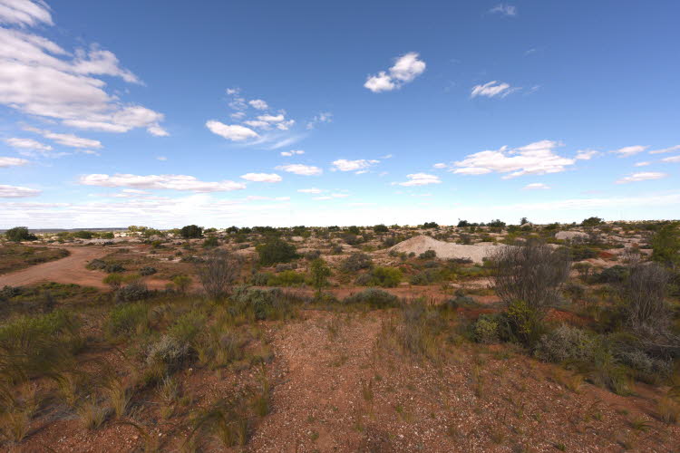 2022 Camaron Corner Trip  0506 small