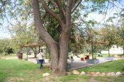 2022 Camaron Corner Trip  0548 small