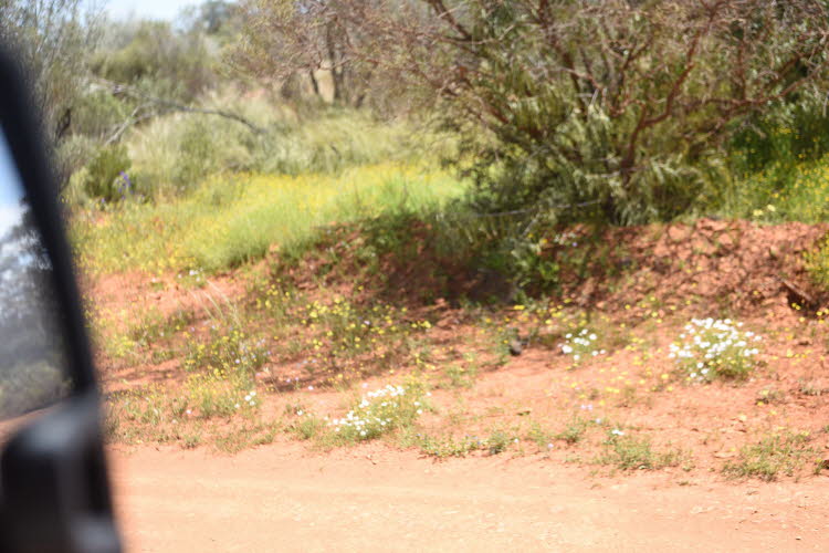 2022 Camaron Corner Trip  0605 small