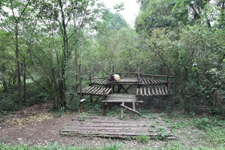 CHN_1727