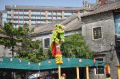 China_2019_0229