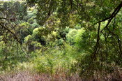 DCS_0901_Sml