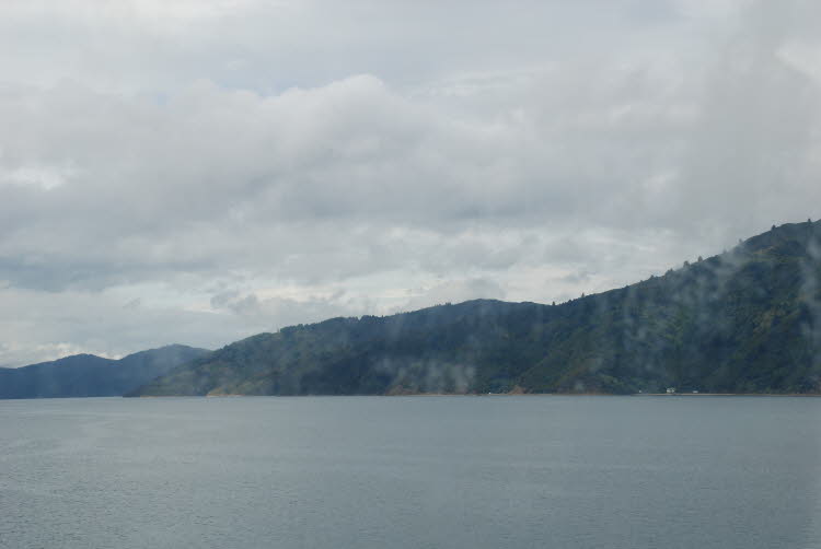 DSC_0011