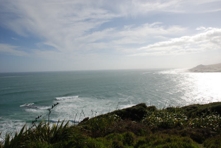 DSC_0373