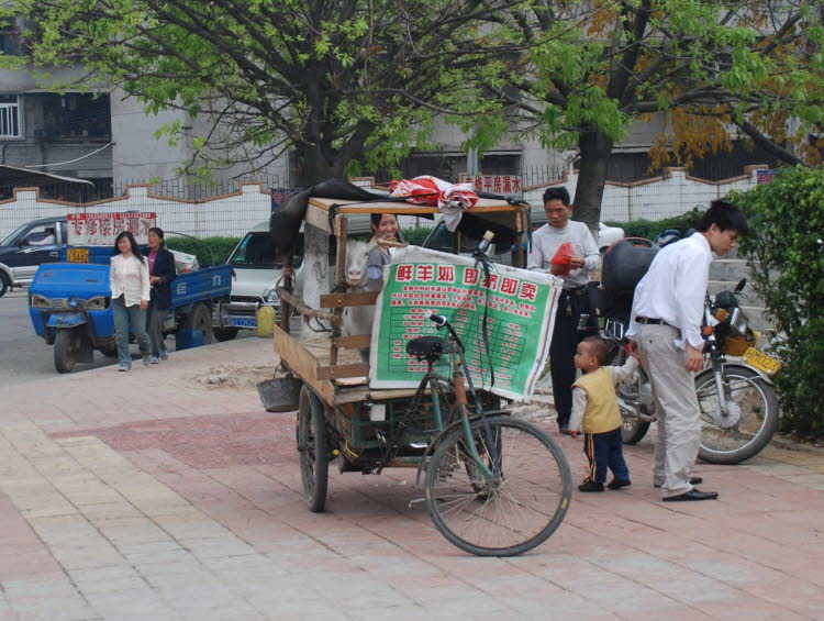 DSC_0937_cropped