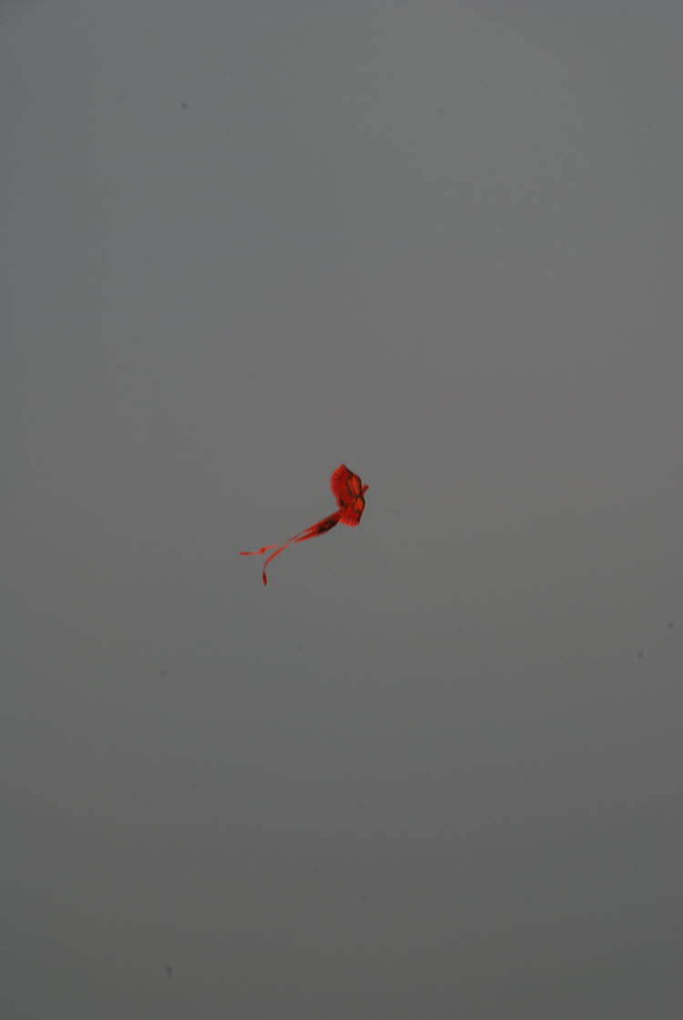 DSC_0970