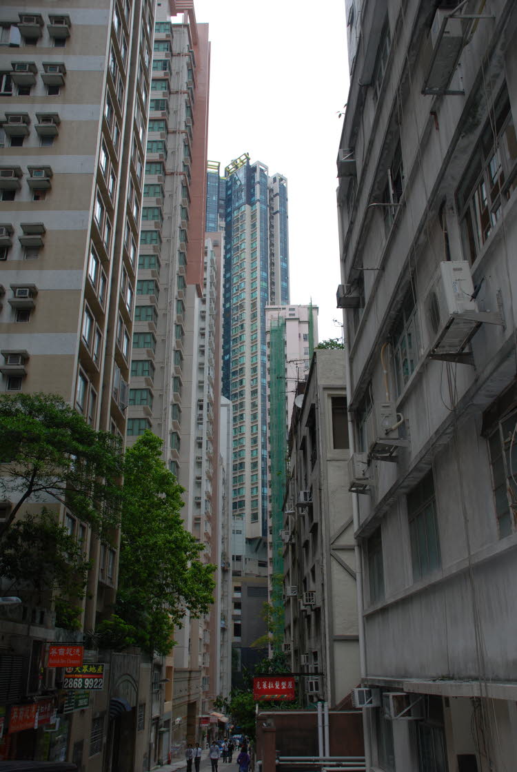DSC_1635