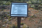 IMG_20220927_1632079