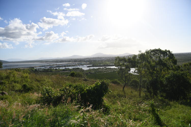 To Bowen 011 Small