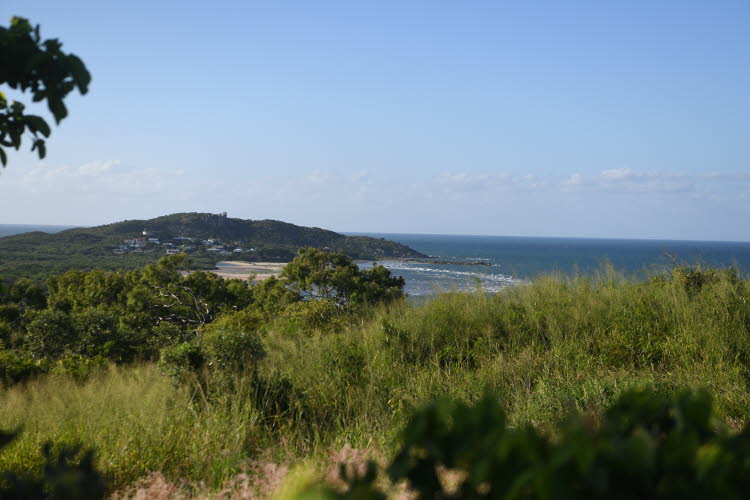 To Bowen 016 Small