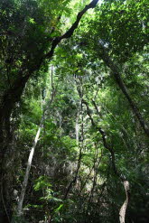 to Cairns 041 Small