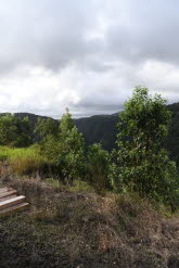 to Cairns 326 Small