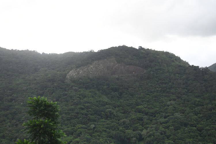 to Cairns 388 Small