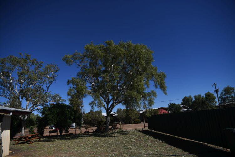 to Quilpie 010 Small