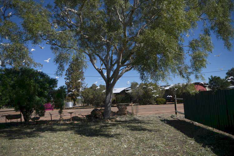 to Quilpie 015 Small