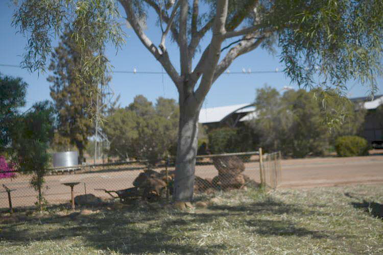 to Quilpie 020 Small