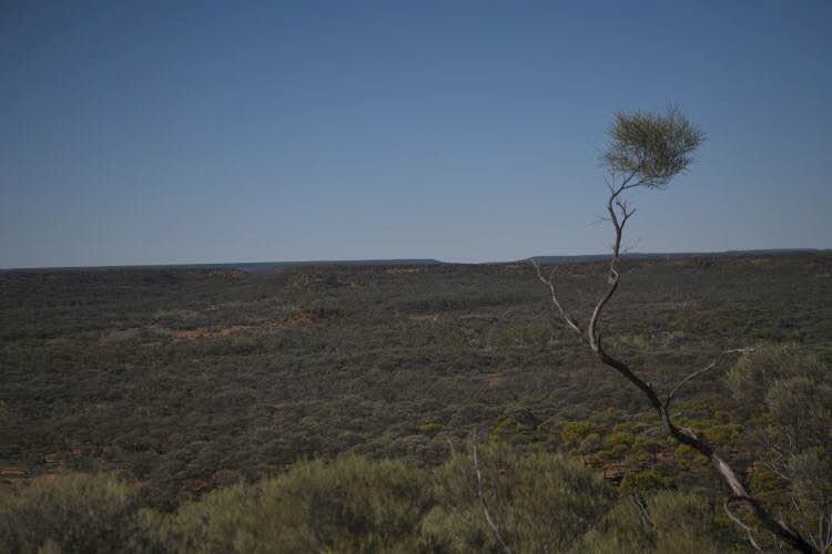 to Quilpie 044 Small