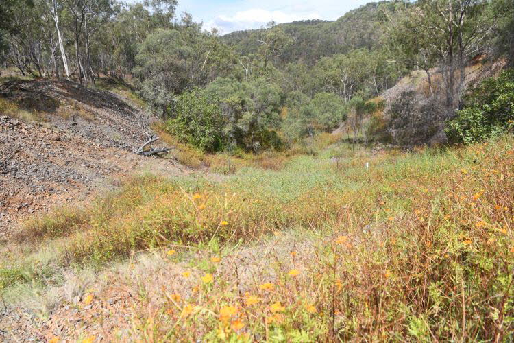 to Ravenshoe 029 Small